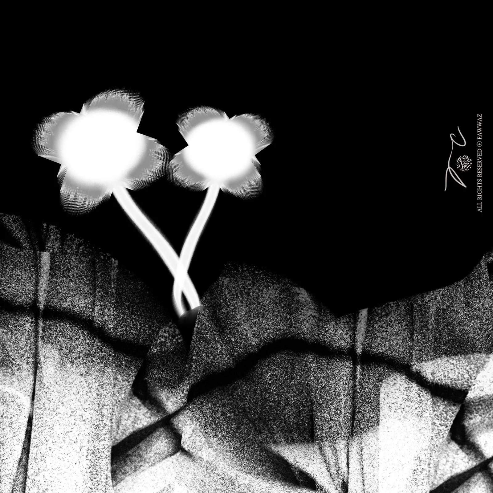 Artwork, Photography