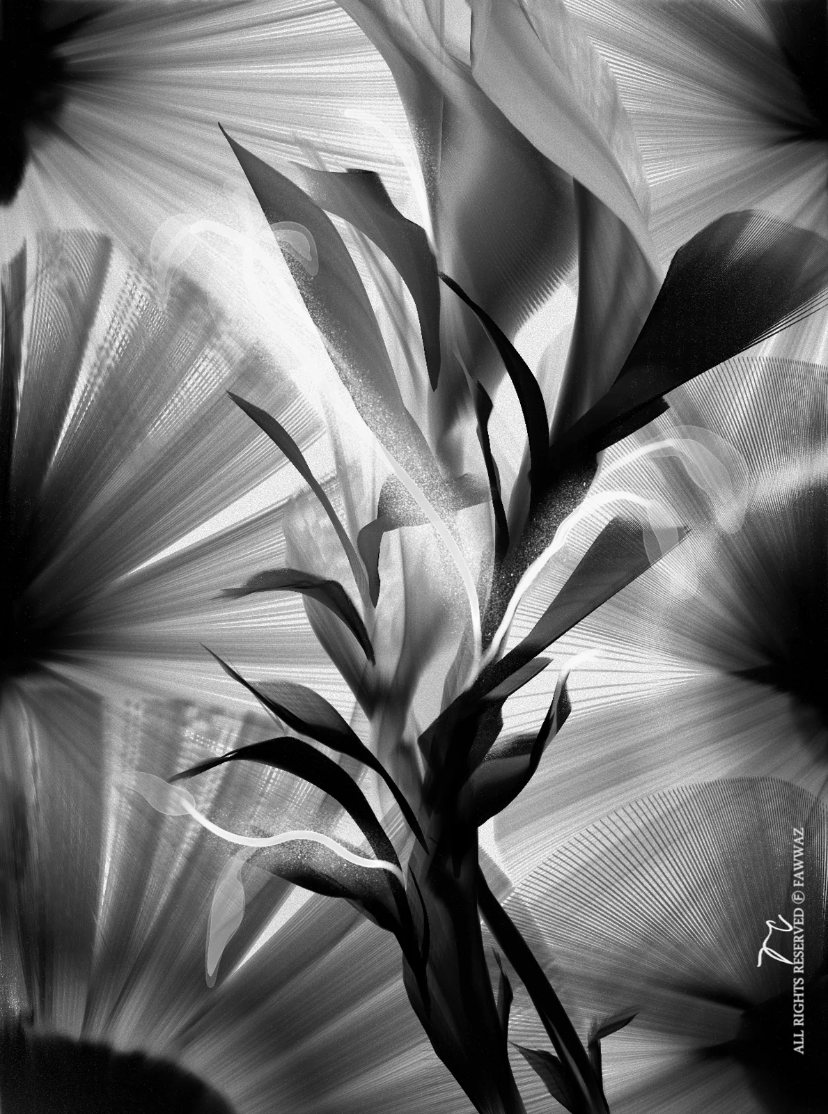 Artwork, Photography